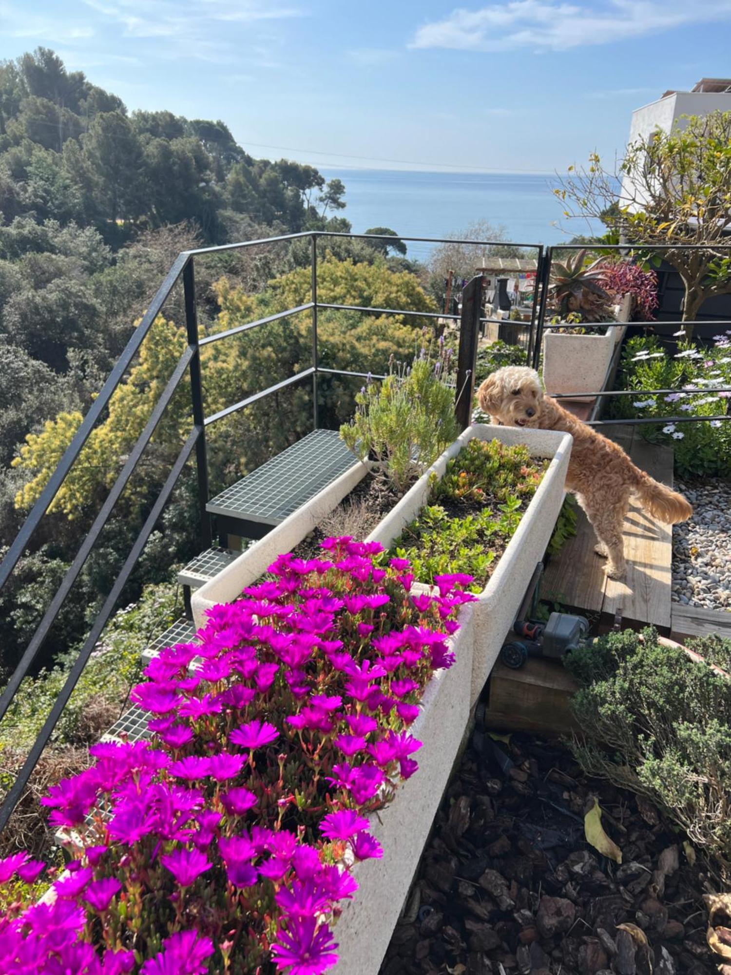 Casa Karian Apartment Tossa de Mar Ngoại thất bức ảnh